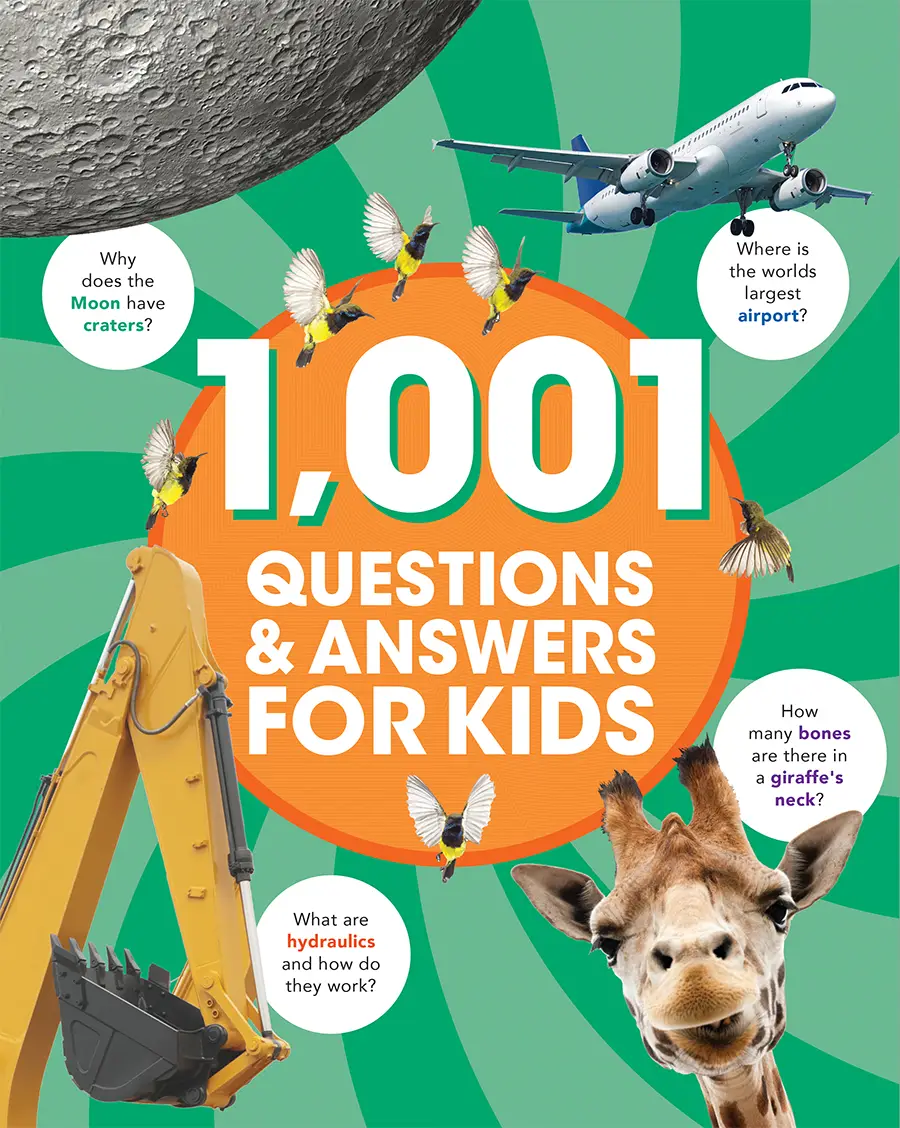 3000860 sc384 1001 questions and answers cover