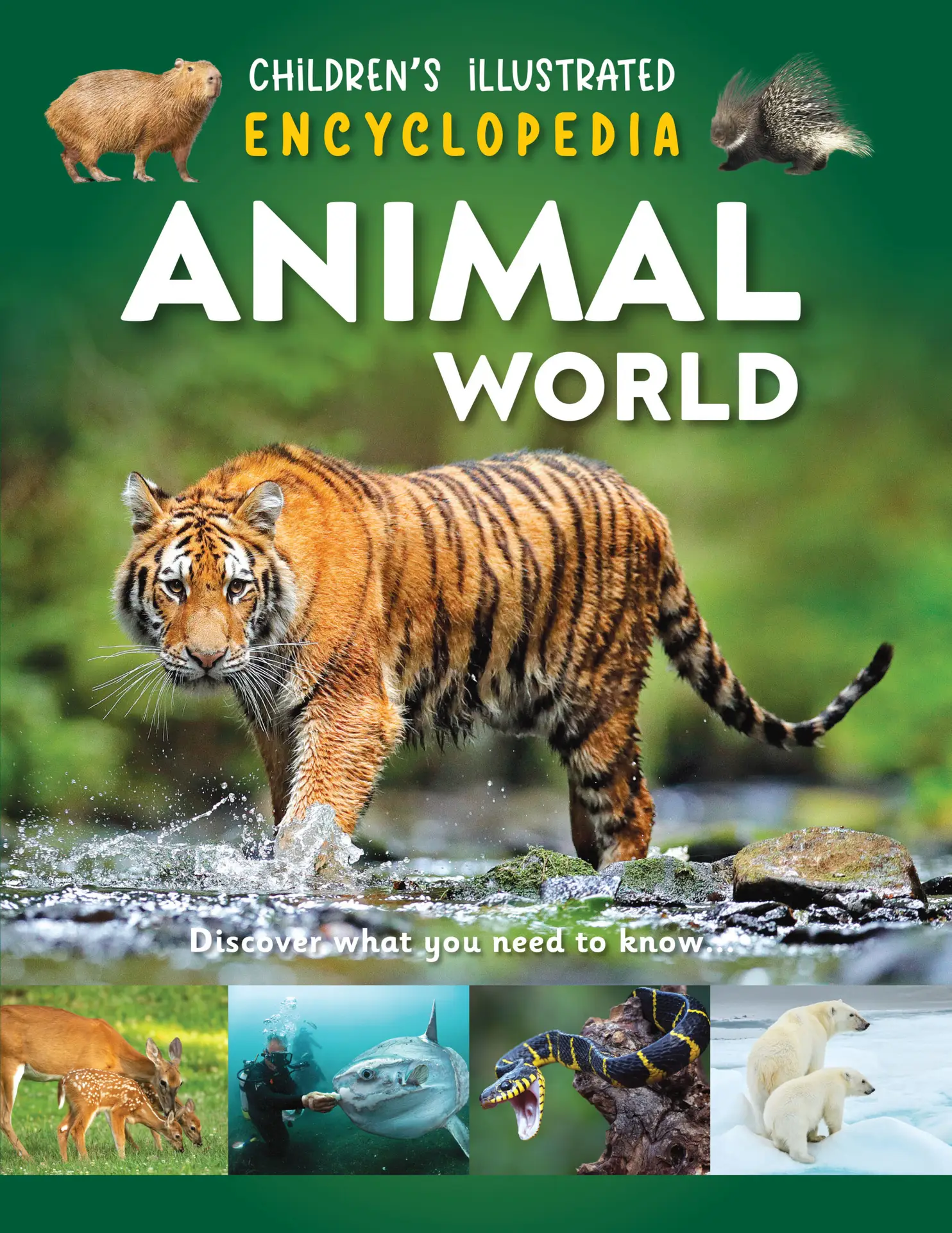 animal world(9786297532080)