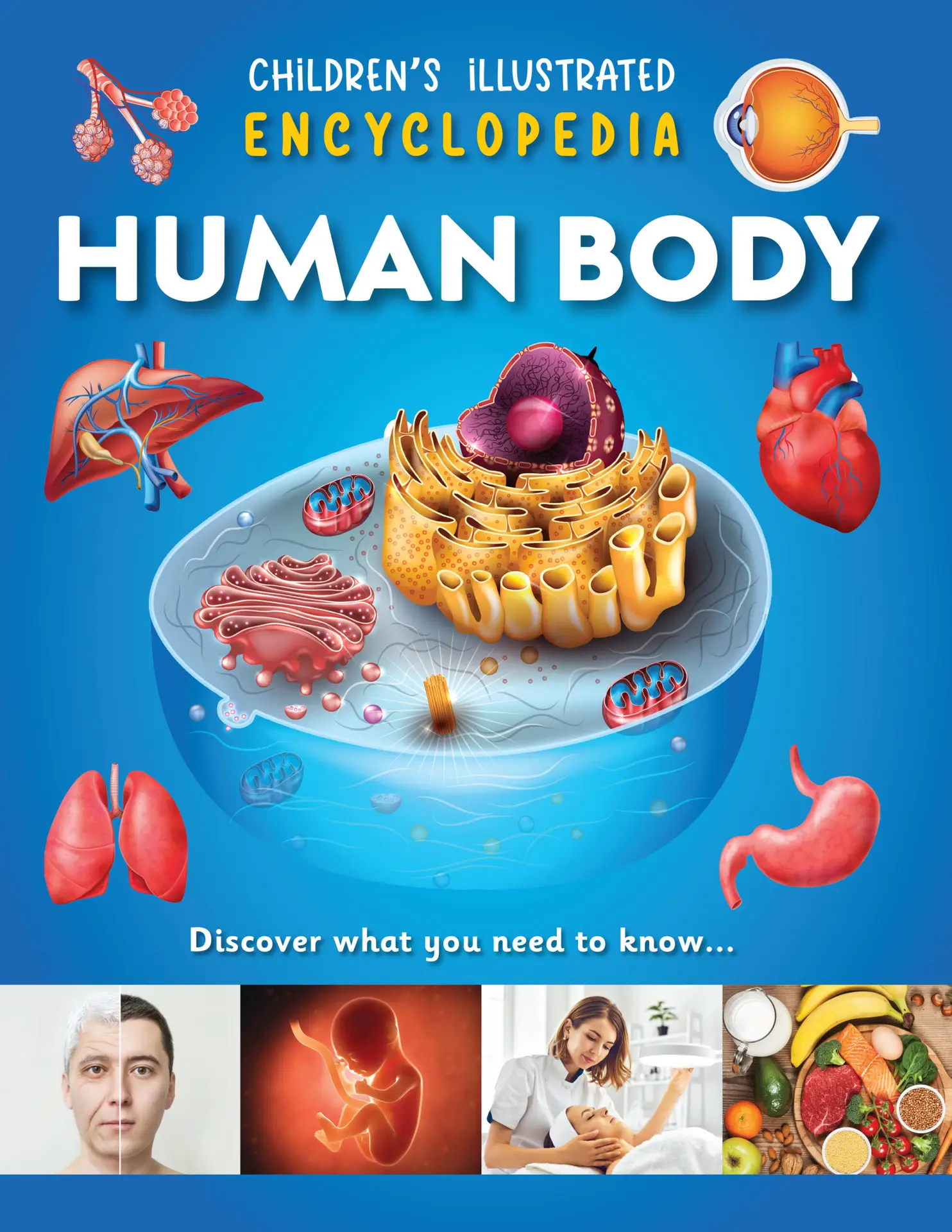 encyclopedia human body(9786297532103)